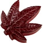red canna leaf
